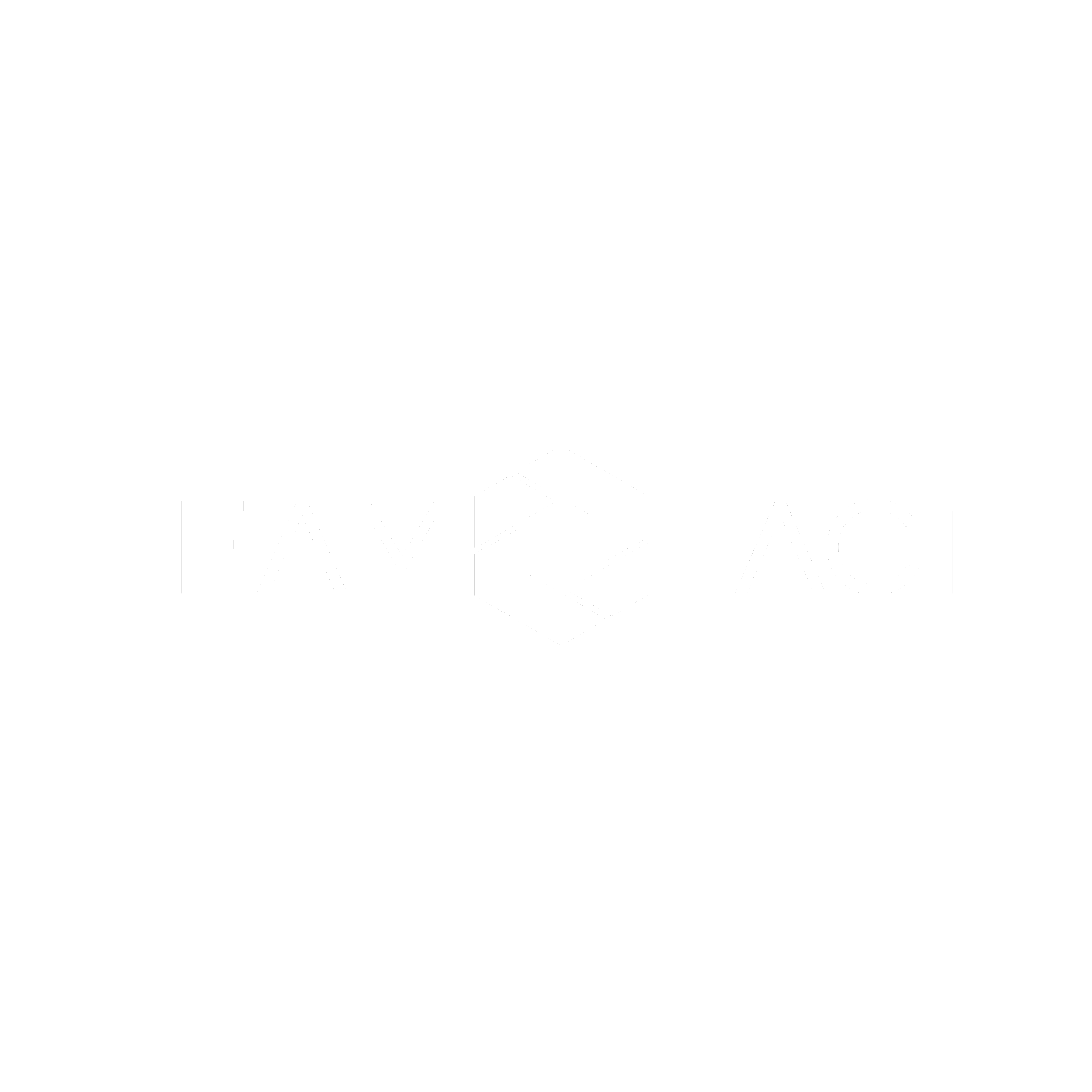 Rocket Rookies Sponsor Teamfact